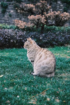  AI浪潮涌动之下，科创板集成电路企业展现强劲发展势头。 股票财经 AI浪潮涌动之下，科创板集成电路企业展现强劲发展势头。 股票财经