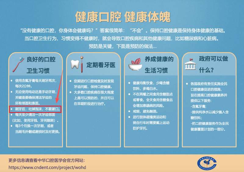  【深度揭秘】口腔护理误区：为何你每天刷牙却依然面临牙损危机？ 健康养生