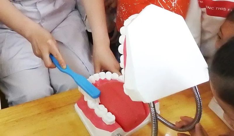  【深度揭秘】口腔护理误区：为何你每天刷牙却依然面临牙损危机？ 健康养生