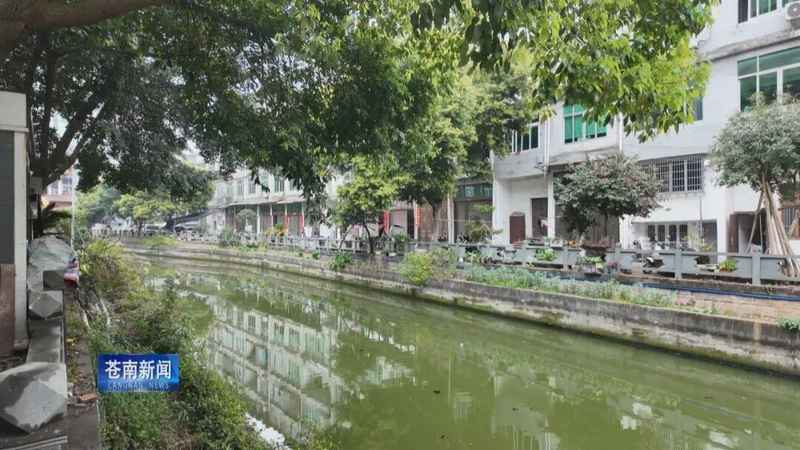 社区环境变好了吗?深度解析基层治理的成功范式 新闻