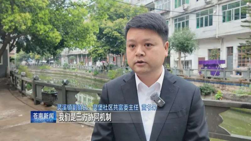 社区环境变好了吗?深度解析基层治理的成功范式 新闻