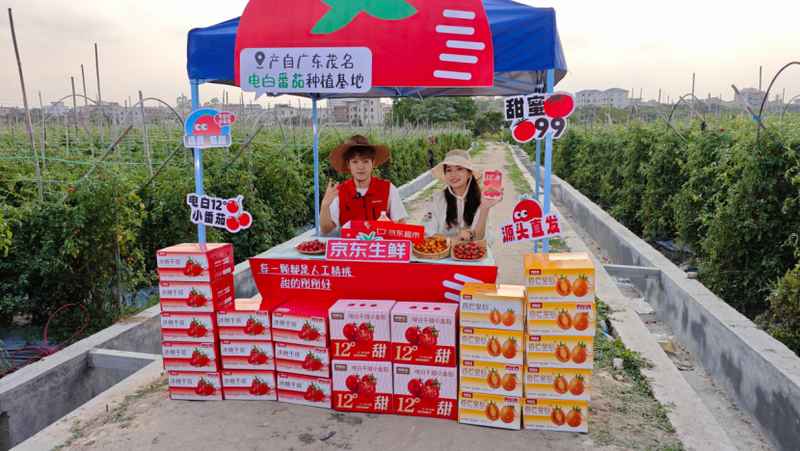  【供应链解密】一颗12°小番茄如何撬动生鲜新消费：京东买手的寻鲜方法论 企业服务