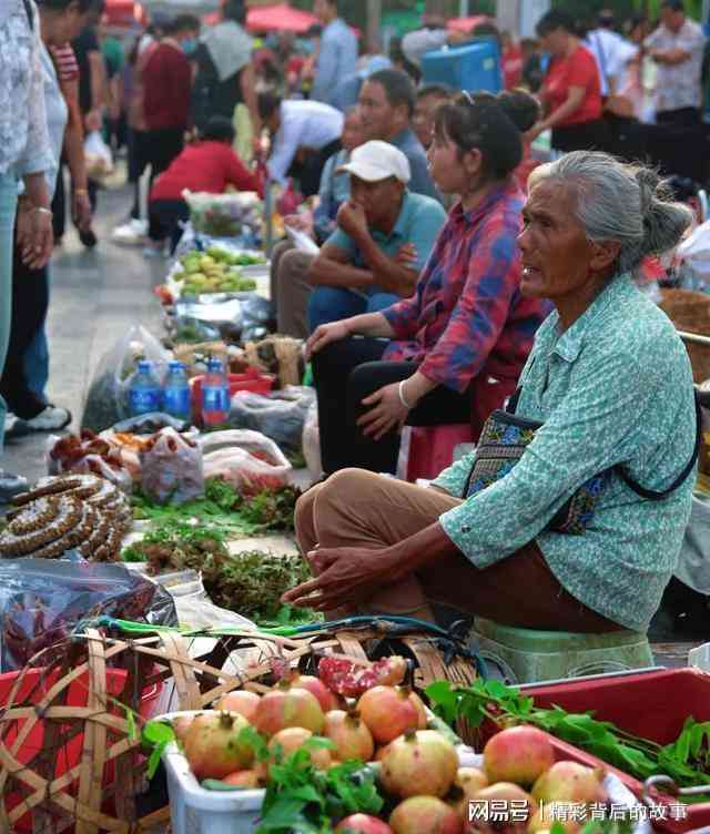  气候数据解码：普洱为何成为银发群体的候鸟栖居地 文化旅游