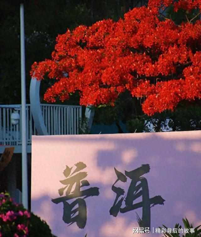  气候数据解码：普洱为何成为银发群体的候鸟栖居地 文化旅游