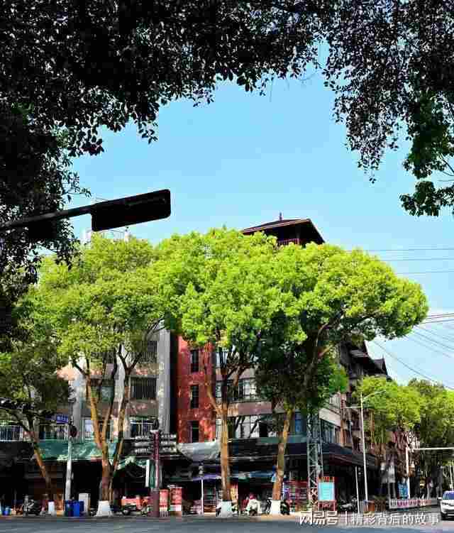  气候数据解码：普洱为何成为银发群体的候鸟栖居地 文化旅游