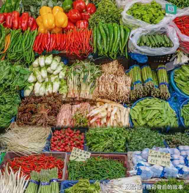  气候数据解码：普洱为何成为银发群体的候鸟栖居地 文化旅游