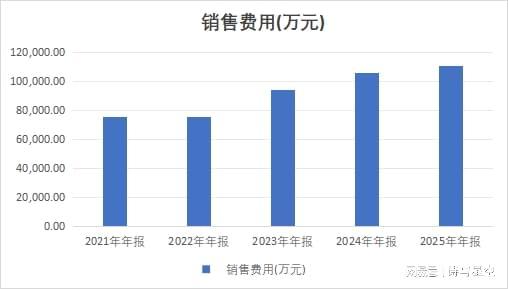 解码七匹狼财报:毛利率54%与扣非净利率0.2%的悬殊背后 股票财经