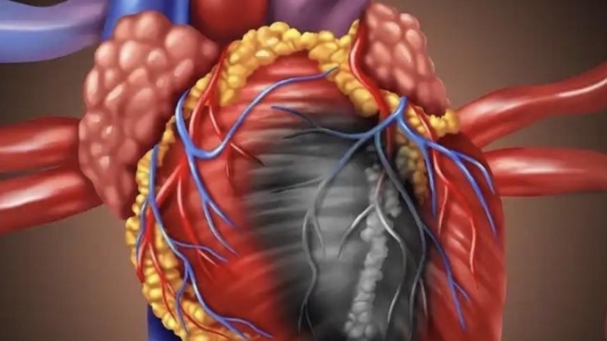  DeepRare技术解析：可解释AI如何重构罕见病诊断范式 IT技术