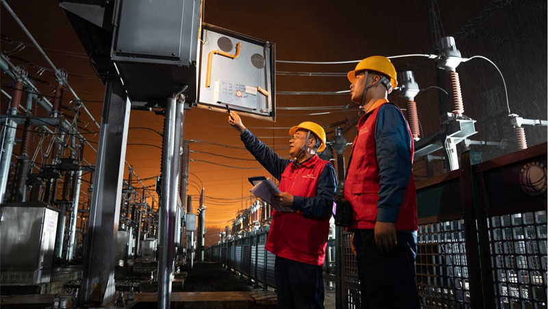  DeepRare技术解析：可解释AI如何重构罕见病诊断范式 IT技术