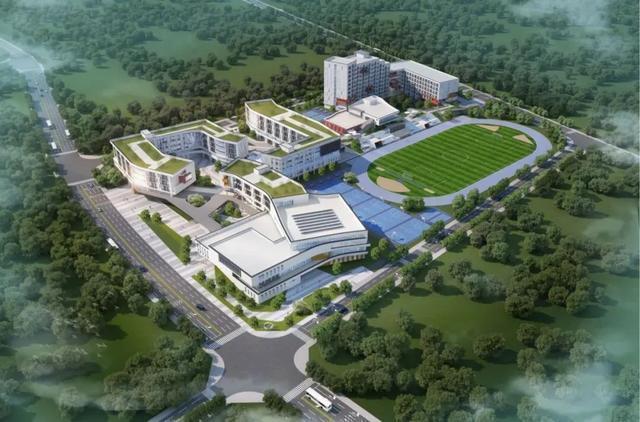  政策红利下的成都高中布局：数据拆解与趋势研判 教育招生