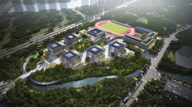  政策红利下的成都高中布局：数据拆解与趋势研判 教育招生