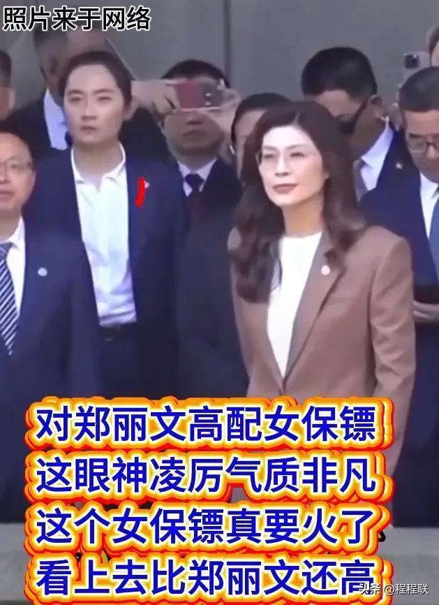 专业气场的技术解码：从郑丽文女保镖走红看安保行业的职业素养标准