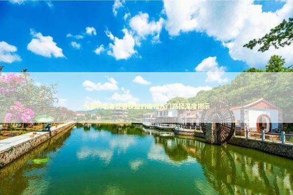 大量初学者显著获益的编程入门路径深度揭示 新闻