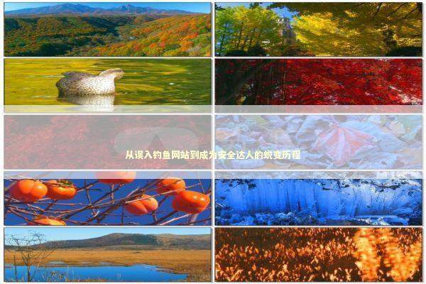 从误入钓鱼网站到成为安全达人的蜕变历程 IT技术