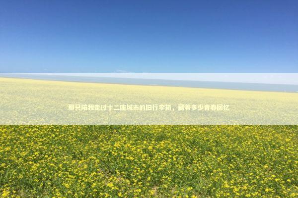 那只陪我走过十二座城市的旧行李箱，藏着多少青春回忆 时尚用品