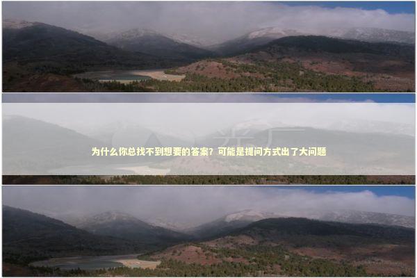 为什么你总找不到想要的答案？可能是提问方式出了大问题