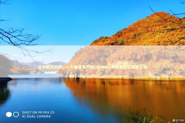 从卡顿到流畅：一个普通用户的Chrome浏览器优化探索之旅 IT技术