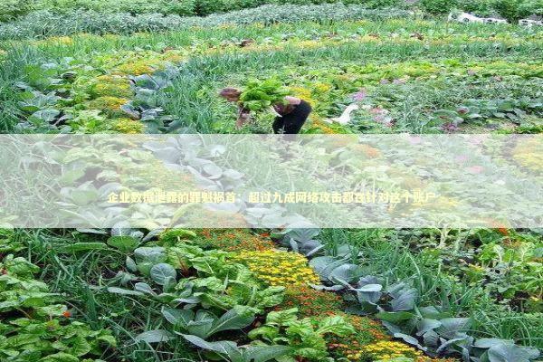 企业数据泄露的罪魁祸首：超过九成网络攻击都在针对这个账户 IT技术