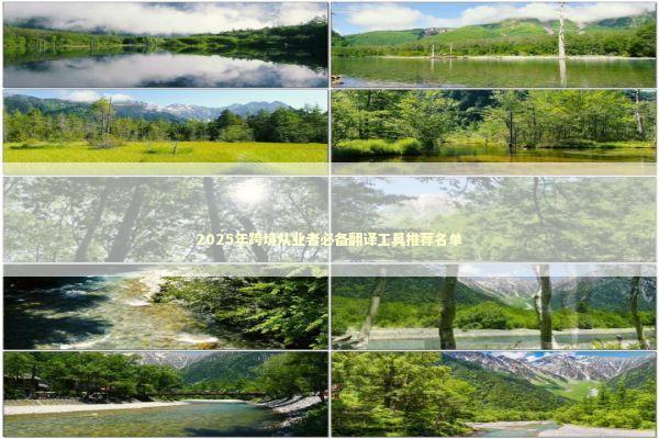 2025年跨境从业者必备翻译工具推荐名单 企业服务